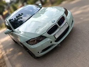 BMW 320i Sedan RWD 2010 Bluu