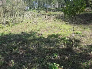 Quarter Acre Plots for Sale in Ngong (Matasia)