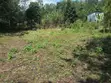 Vipande vya Robo Akiwa vya Kuuzwa Ngong (Matasia) - 2