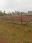 1/4 Acre Plot for Sale - Kipkenyo, Eldoret - 2