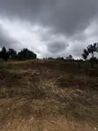 Half-Acre Plot for Sale in Dew Ridge, Tatu City Corridor - 3