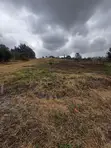 Half-Acre Plot for Sale in Dew Ridge, Tatu City Corridor - 5