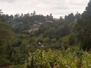 Serviced One Eighth Plots for Sale in Ngong