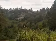 Serviced One Eighth Plots for Sale in Ngong - 1