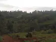 Serviced One Eighth Plots for Sale in Ngong - 2