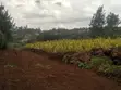 Serviced One Eighth Plots for Sale in Ngong - 5