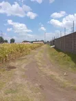 Viwanja Bora vya Makazi 1/8 Eka Vinauzwa Verovian, Ngata - 1