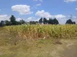 Viwanja Bora vya Makazi 1/8 Eka Vinauzwa Verovian, Ngata - 2