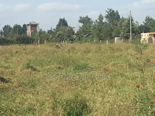 Prime 3 Acre Land in Ongata Rongai - 1