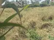 Eneo Bora la Eka 3 Ongata Rongai - 3