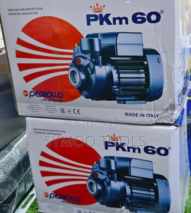 Pedrollo PKm60 High-Pressure Peripheral Water Pump - 1