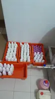 Yoghurt ya Chupa 500ml/250ml - 5