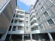 Vertexmarchao Ltd: Professional Painting & Decoration Services - 3