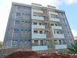 Vertexmarchao Ltd: Professional Painting & Decoration Services - 5