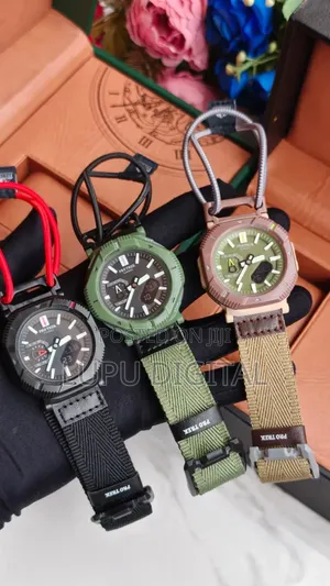 Casio Pro Trek Watch