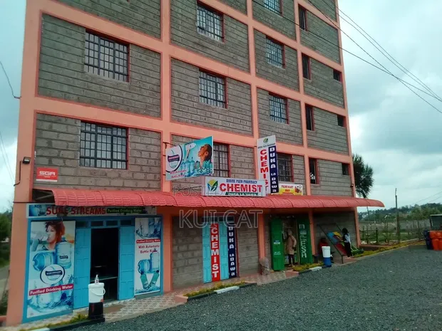 Commercial Property with Rentals - Matasia - 1