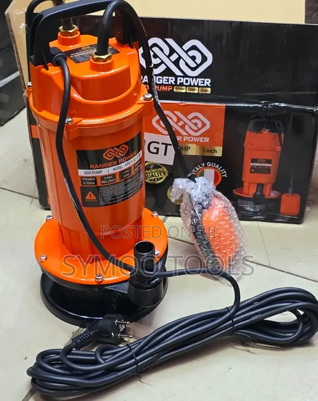 1 HP QDX Ranger Power Submersible Pump - 1
