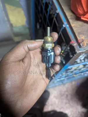 Honda Cold Start Switch