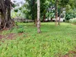 Thigiri Ridge 1 Acre Residential Land for Sale - 2