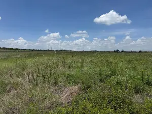 Vipande 50x100 Vinauzwa Kisaju - Beyond Serene Estate
