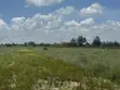 Vipande 50x100 Vinauzwa Kisaju - Beyond Serene Estate - 2