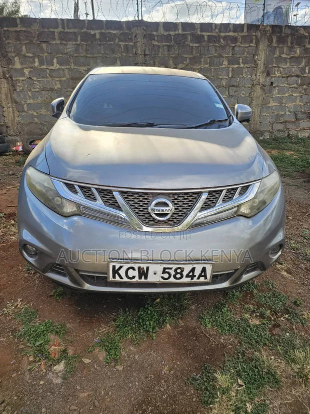 Nissan Murano 2011 Gray - 1