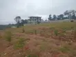 Ardhi ya Eka Moja ya Kwanza Karen - 2