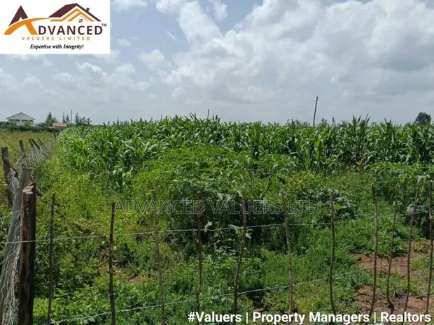 Eneo la Prime la Eka 1 kwa Uuzaji - Chergei Kabarak, Nakuru - 1