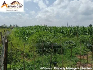 Prime 1 Acre Land for Sale - Chergei Kabarak, Nakuru