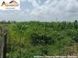 Eneo la Prime la Eka 1 kwa Uuzaji - Chergei Kabarak, Nakuru - 1