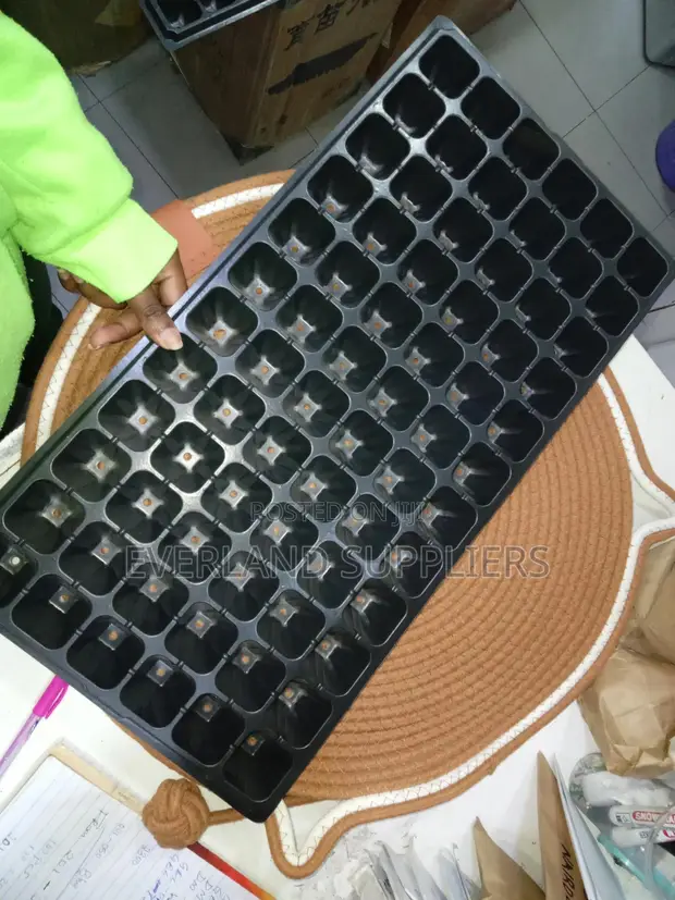 Seedling Raising Trays - Wholesale - 1