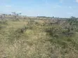 Prime One Acre Plots for Sale in Ongata Rongai - 4