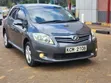 Toyota Auris 2010 Gray - 2