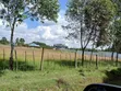 Greenhaven Gardens - Viwanja vya Makazi Eldoret - 2