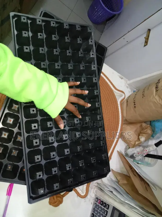 Trei ya Vipandikizi vya Nursery Zenye Nafasi - Jumla - 1