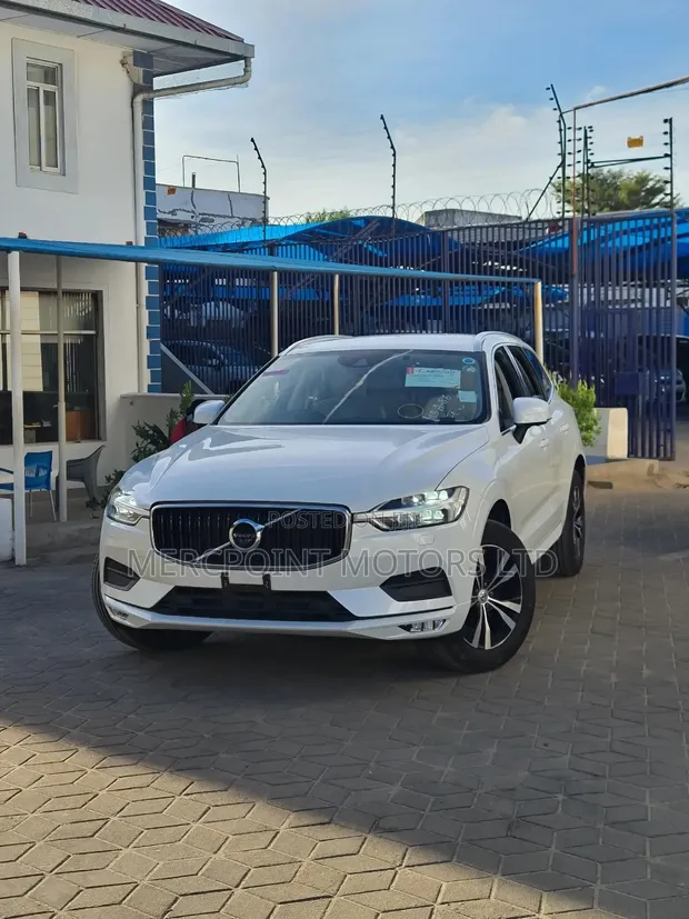 Volvo XC60 2020 Pearl - 1