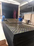 Sifeng Marine Boards - Plywood Bora - 3