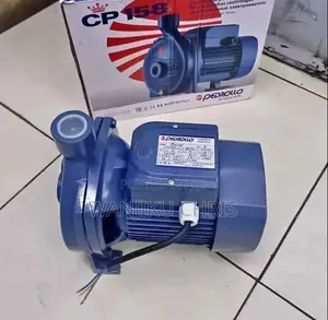 Pedrollo 1HP Water Pump with Stainless Steel Impeller