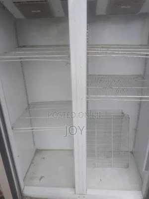 Bunn Upright Chiller - 750L