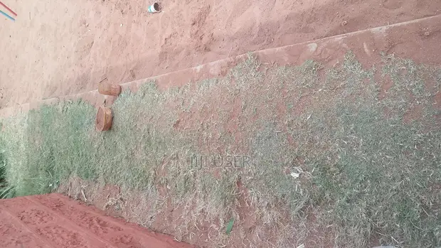 Kiwanja Bora cha Makazi kwa Uuzaji - Saika - 1