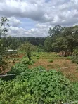 Ruaka Commercial Land for Sale - 100x100 & 100x200 on Limuru Road - 4