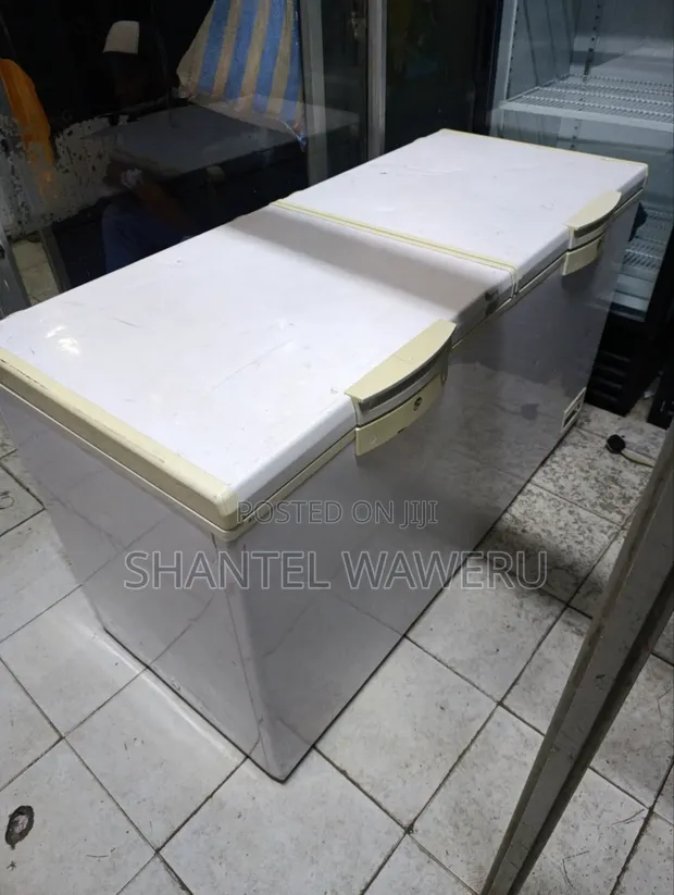Ailyons Deep Freezer 500L - 1