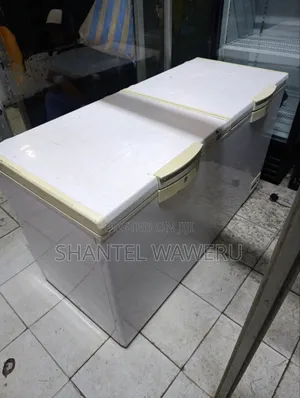 Ailyons 500L Deep Freezer