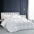 Duvet ya Kifahari ya Urembo 6x7 - Mpya Kabisa - 1