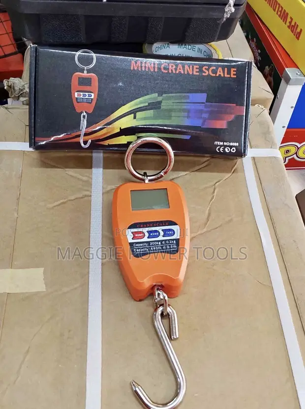 Min Crane Weighing Scale 200kg - 1