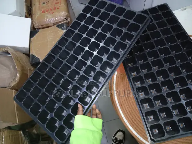 Seedling Trays for Plant Growing - Wholesale - 1