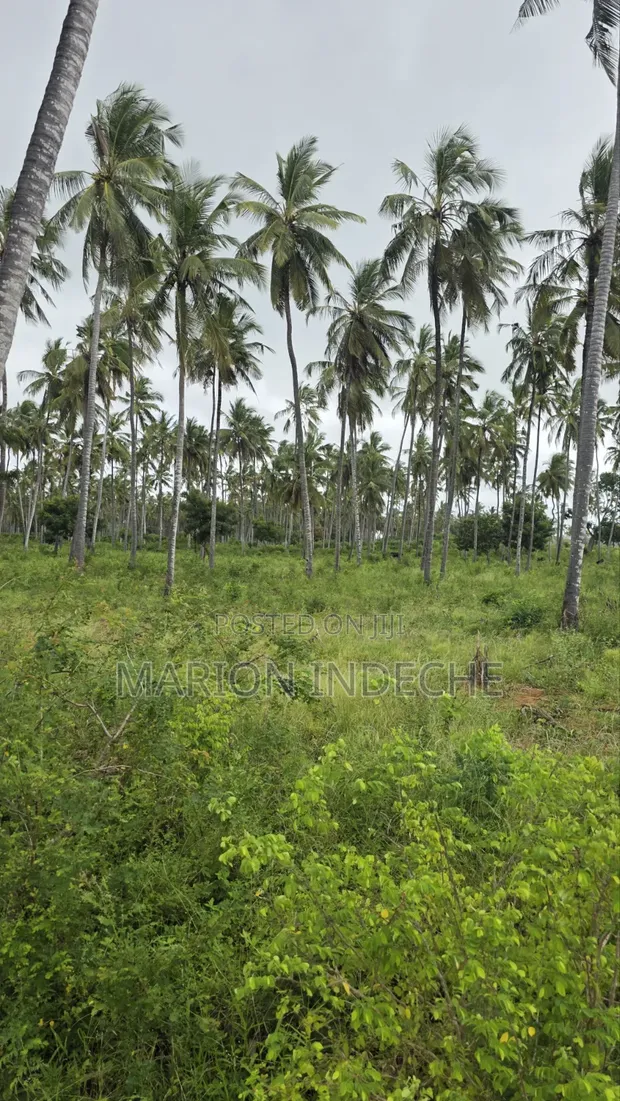 Eneo la Prime la Eka 12 Linauzwa Kilifi Tezo - 1