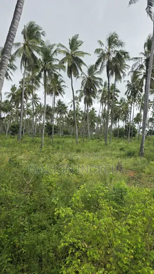 Eneo la Prime la Eka 12 Linauzwa Kilifi Tezo