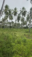 Eneo la Prime la Eka 12 Linauzwa Kilifi Tezo - 1