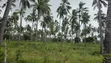 Eneo la Prime la Eka 12 Linauzwa Kilifi Tezo - 2